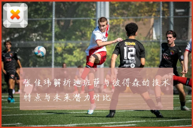 张佳玮解析迪班萨与彼得森的技术特点与未来潜力对比